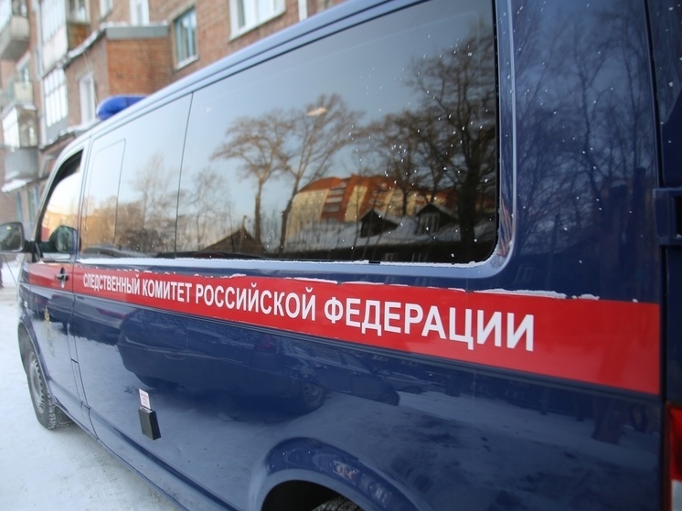 Омича будут судить за жестокое убийство его 18-летней беременной жены