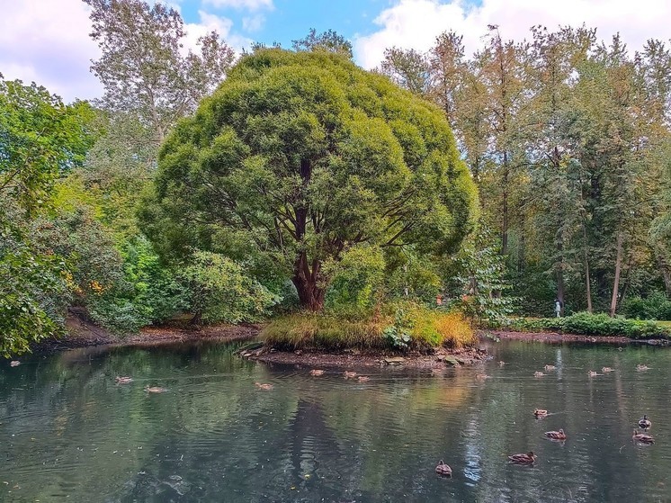 Ни один из свердловских водоемов не признали безопасным для купания