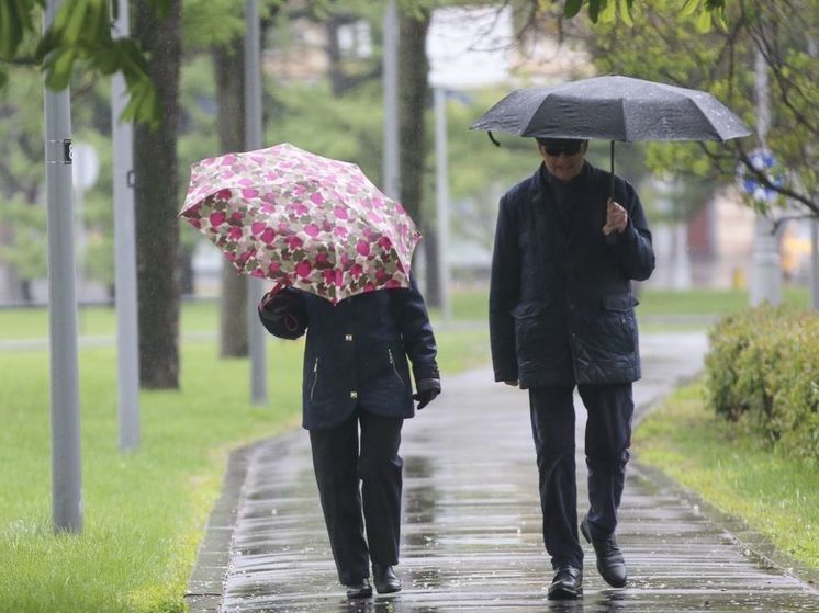 В МЧС призвали не пользоваться зонтами во время грозы