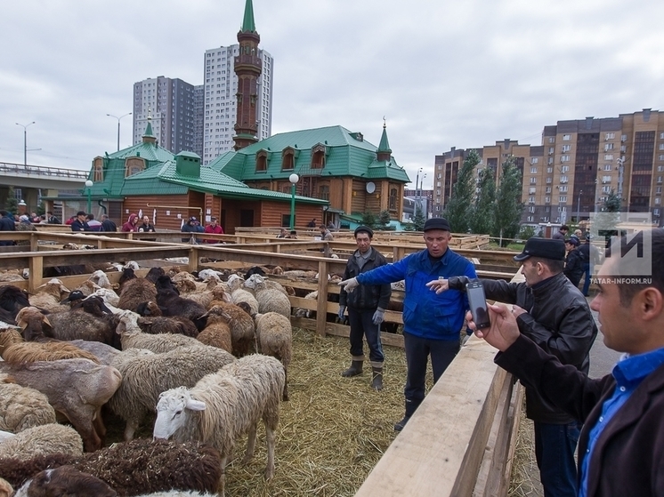 Для жертвенного забоя животных в Курбан-байрам выделено 18 площадок в Казани