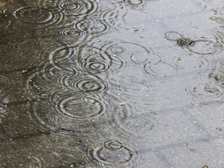 Ливни в Подмосковье возможны во второй половине дня