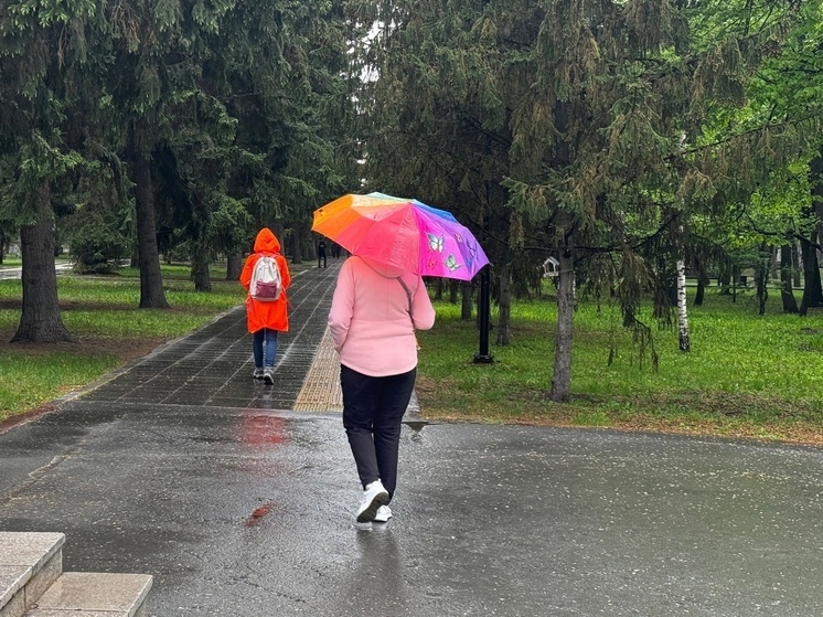 В Новосибирске май 2024 года оказался самым дождливым за 15 лет