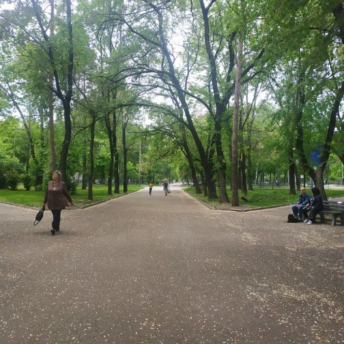 Где гулял Михаил Задорнов в Хабаровске: фото мест