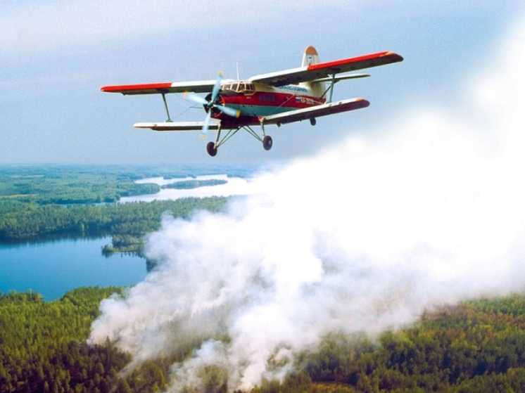 В Хабаровском крае наступил период грозовых пожаров