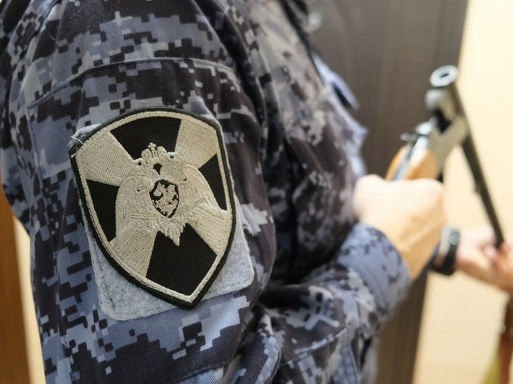 У курян за неделю изъяли 6 единиц оружия