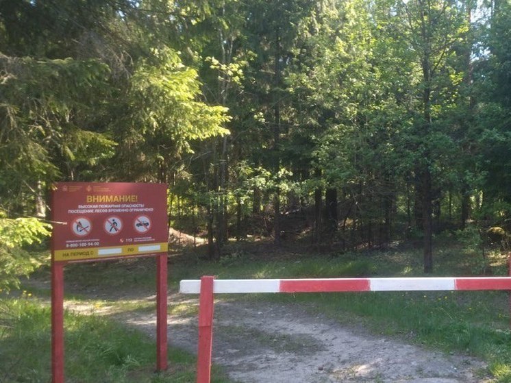 Огненный прогноз до 6 июня дали в Подмосковье