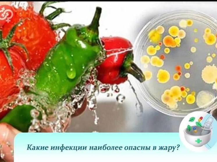 Пензенский инфекционист рассказала, об инфекциях, опасных в жару
