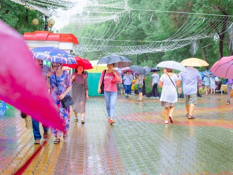 МЧС предупредило жителей Хабаровского края о возможной непогоде