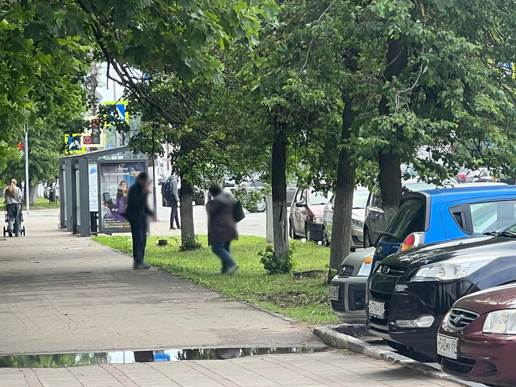 В Твери мужчина и женщина рылись под деревом у пенсионного фонда