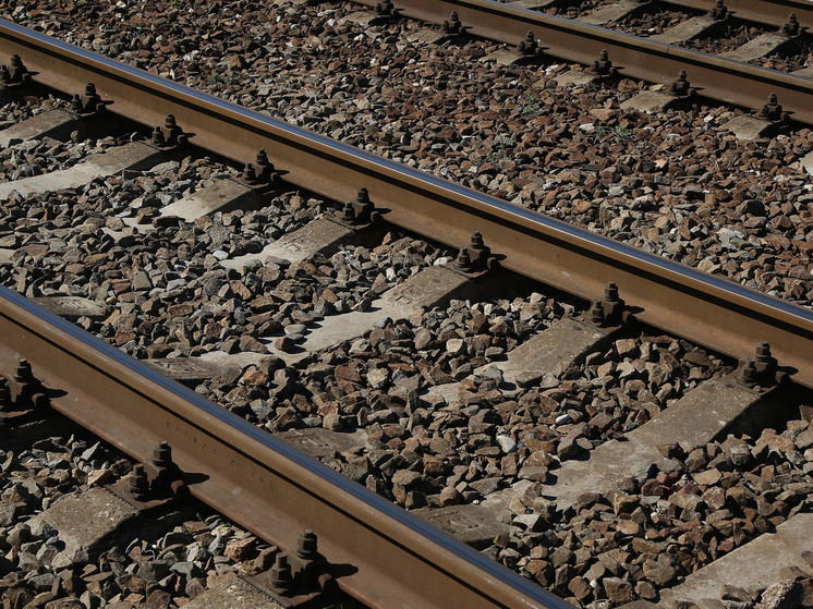 На станции Расторгуево заметили группу зацеперов