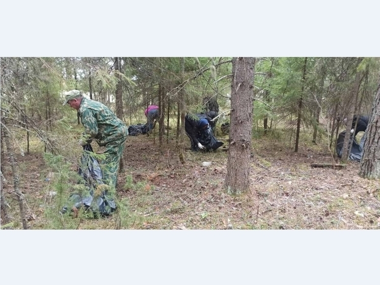 В территориях Прикамья завершается масштабная весенняя «ПРОуборка»