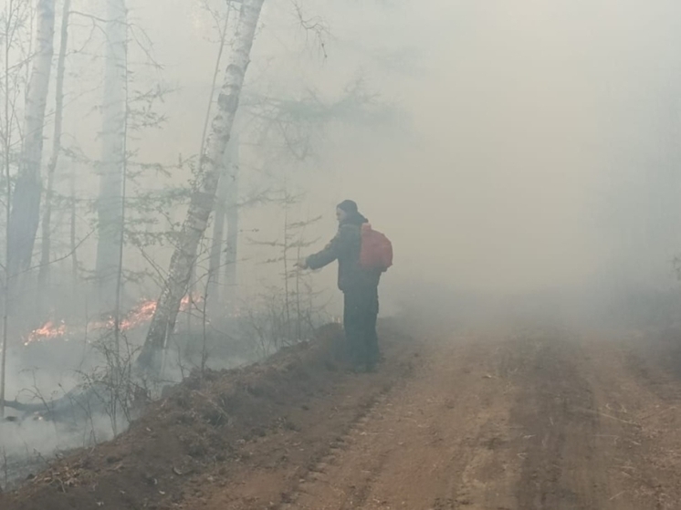 Самый крупный лесной пожар тушат на севере Забайкалья