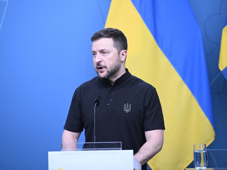 Журналист Снайдер: Зеленский не идет на переговоры из-за давления ультраправых националистов