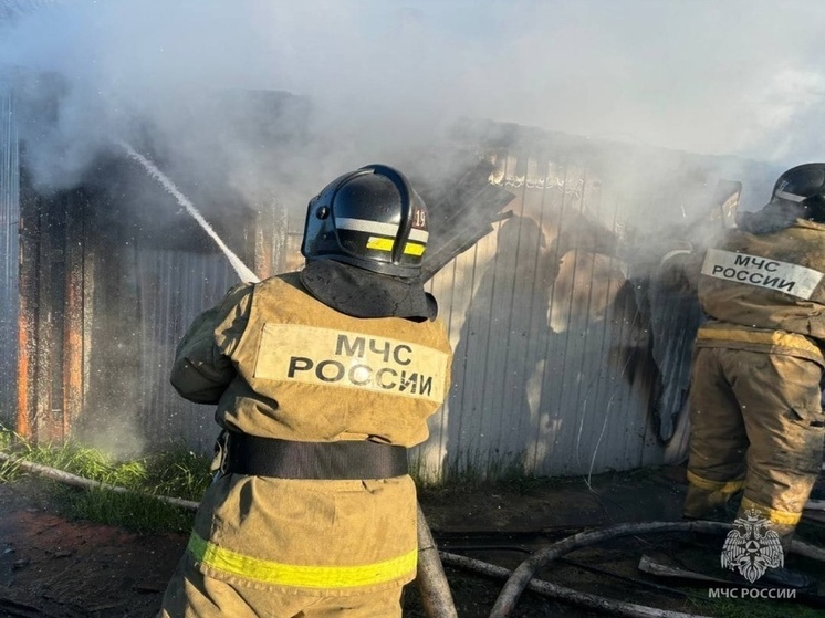 Пожарные спасли ребёнка из горевшего дома в Томском районе