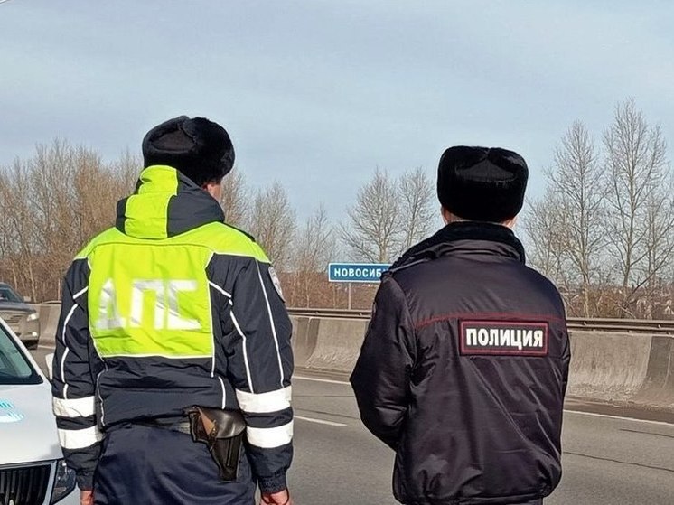 В одном из районов Алтайского края не осталось сотрудников ДПС