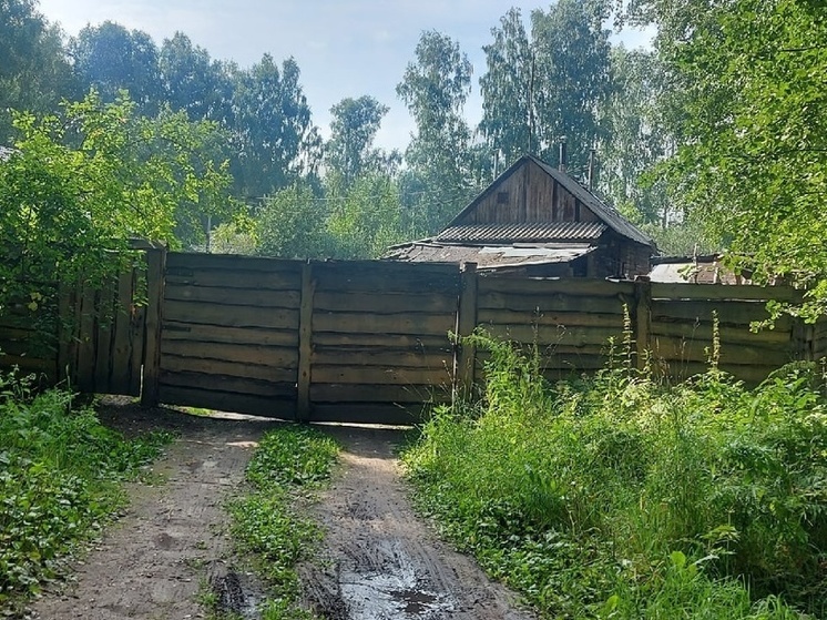 В Новосибирске агроном Шубина поделилась эффективными способами борьбы с тлей