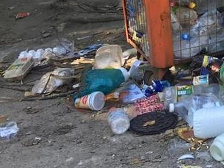 Кучи мусора в сквере на Молодогвардейцев возмутили воронежцев