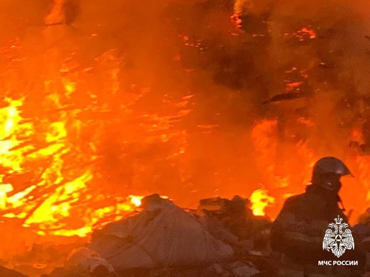 Больше шести часов горели отходы от пиломатериалов в Тверской области