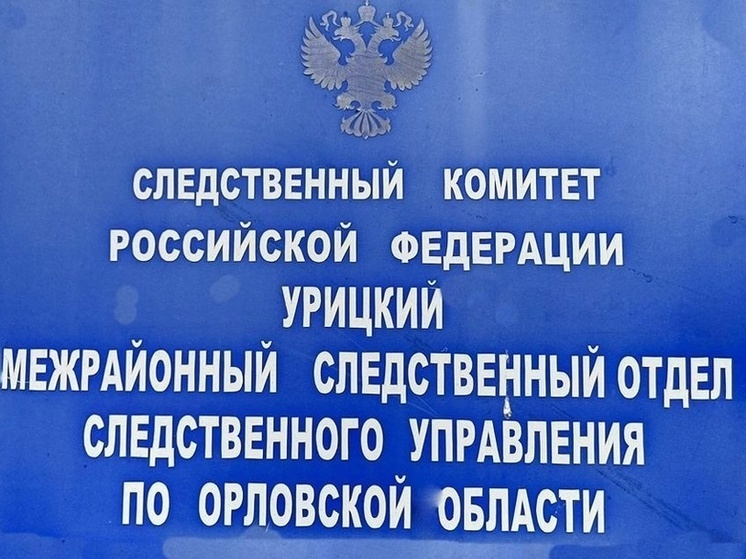 Бухгалтер орловской школы присвоила более 1 млн рублей