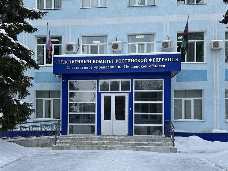 Пензенские следователи взялись за проверку видео, на котором мужчина нападает на девушку