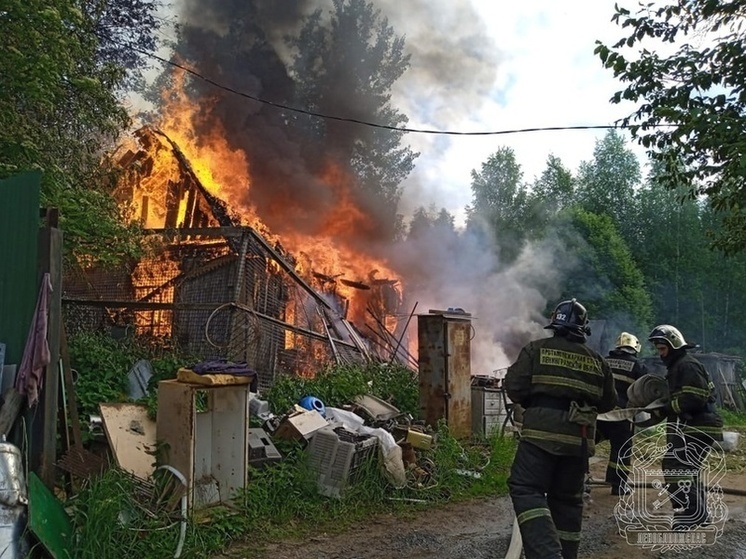 За сутки пожарные Ленобласти потушили шесть пожаров