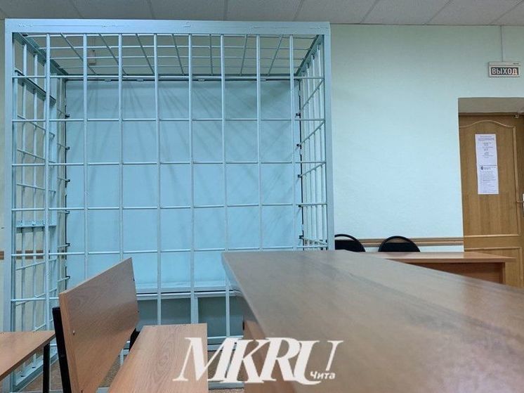 Живодёр отказался от дачи показаний в суде по делу об убитой собаке в Чите