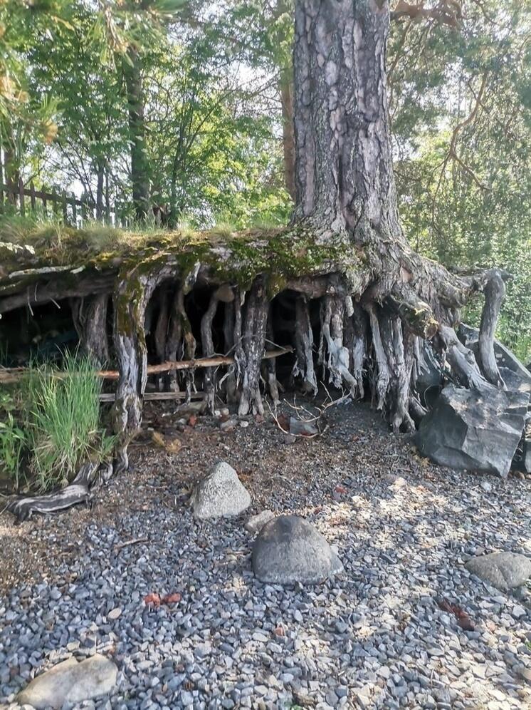 Власти прокомментировали историю с размытием кладбища в Прионежском районе