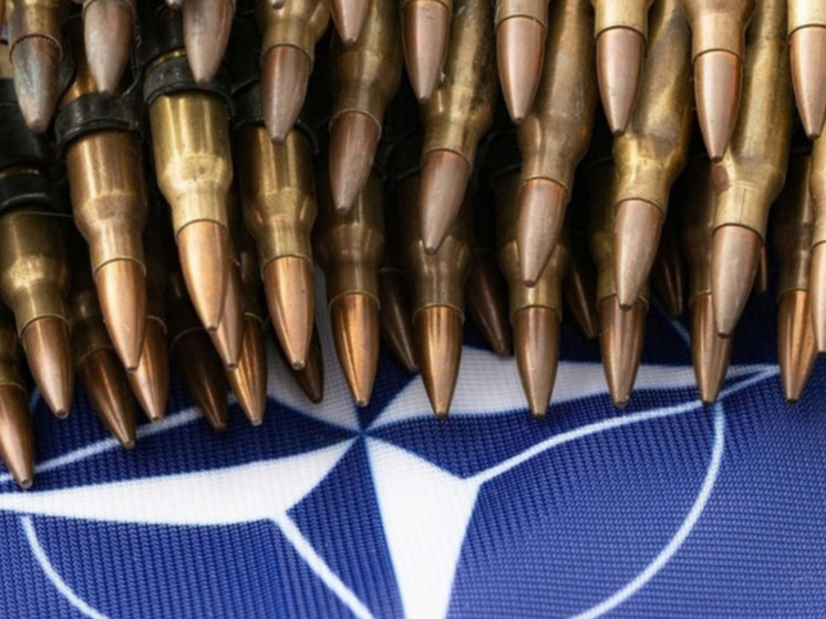 Куртен: нужно заменить лидеров НАТО из-за их плана отправить войска к границе России