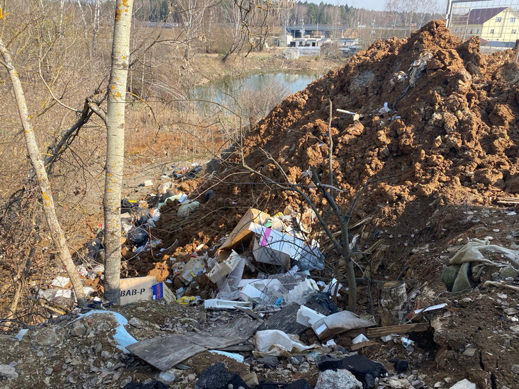 В Долгопрудном ищут виновников незаконной свалки