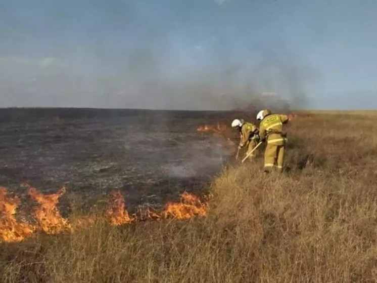 На Дону объявили чрезвычайную пожароопасность 5 июня