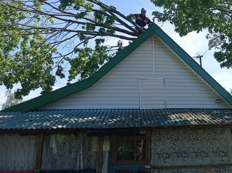 В Тосненском районе на дом рухнуло дерево