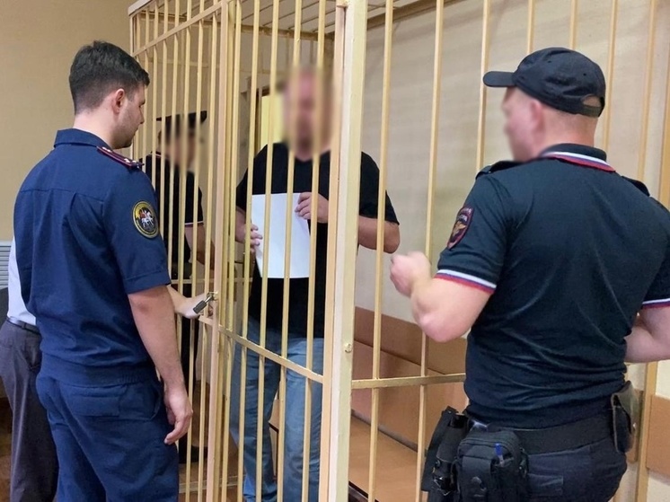 По обвинению в коррупции экс-полицейского в Брянске заключили под стражу