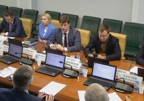 В Совете Федерации прошел «круглый стол» о развитии отечественной спутниковой группировки
