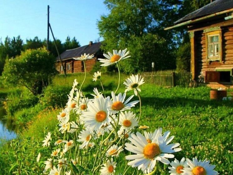 Что такое румянец года