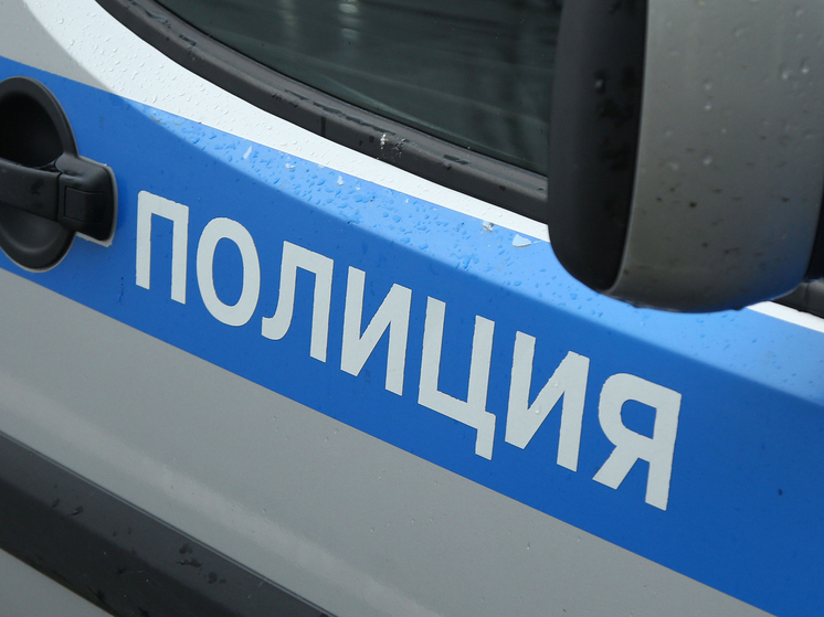 Личности преступников установлены