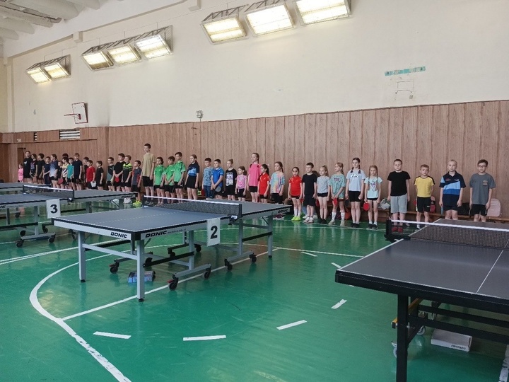 Aurora 60 Table Tennis Ball