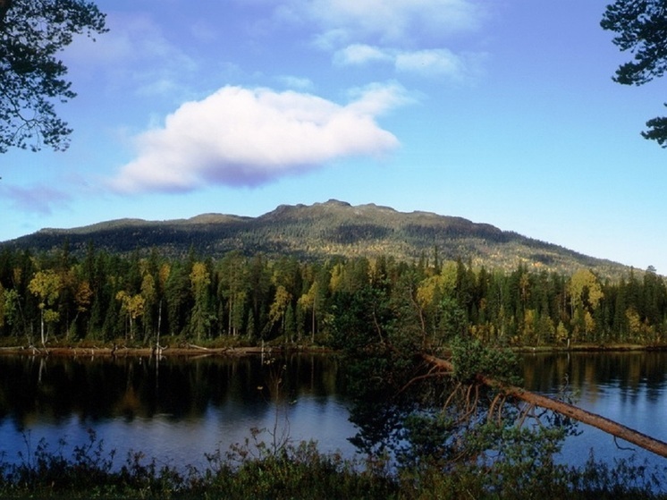 Популярные маршруты на гору и к водопаду снова открыли в Лоухском районе