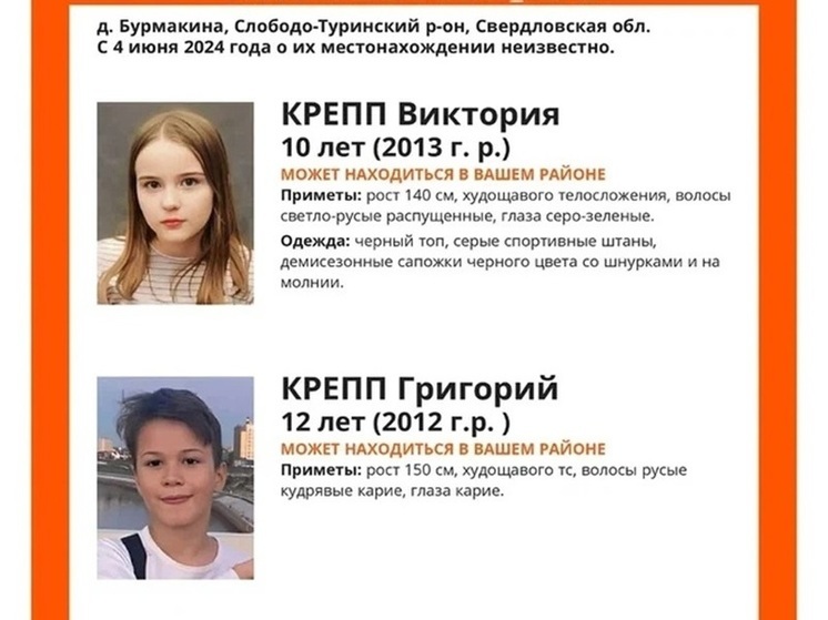 Волонтеры из Новосибирска выехали в Свердловскую область для поиска пропавших в лесу детей