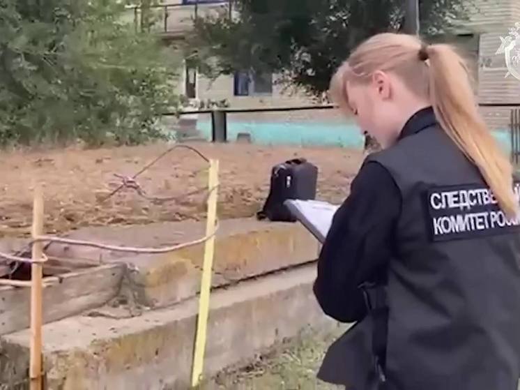 Воспитательницу осудили за гибель ребенка в выгребной яме