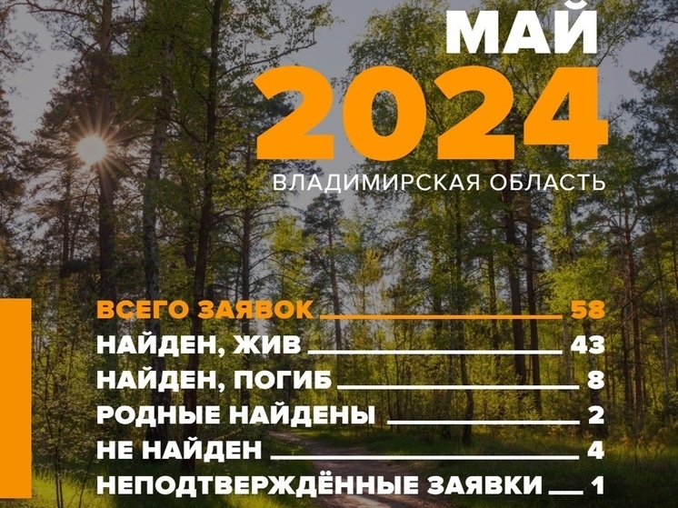В мае во Владимирской области потерялись 58 человек