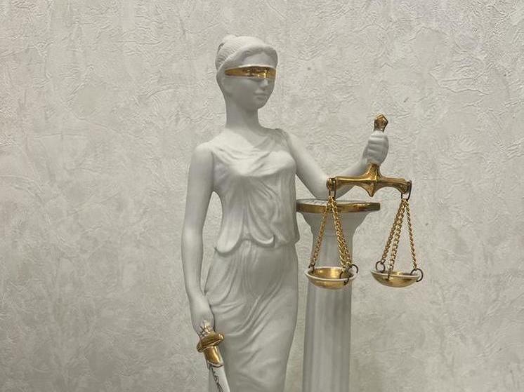 Жителя Таджикистана осудили на 13 лет за подготовку теракта в Невинномысске