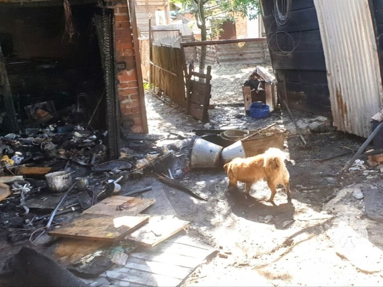 В Ростовской области пенсионер спас собаку из пожара, рискуя жизнью