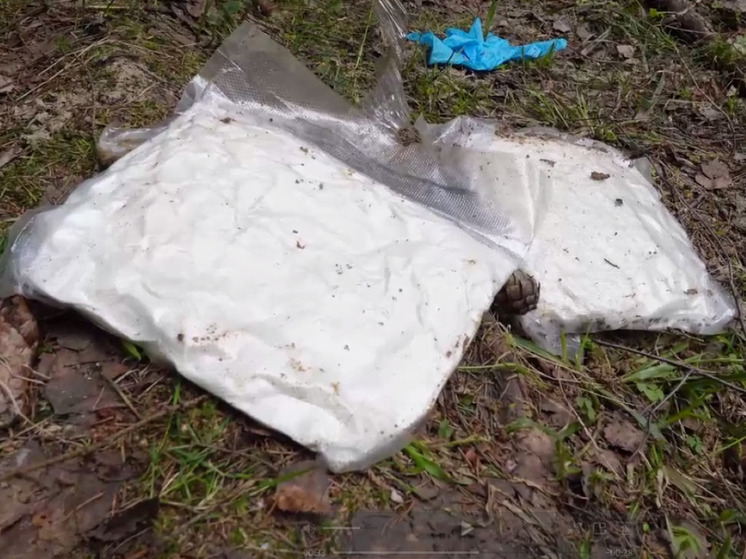 Наркокурьера поймали на горячем полицейские Подмосковья