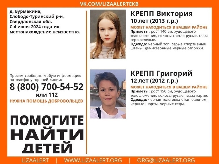На поиск загадочно пропавших российских детей отправили больше 400 человек