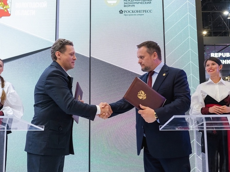 Сотрудничество в цифровой сфере хотят наладить Новгородская и Вологодская области