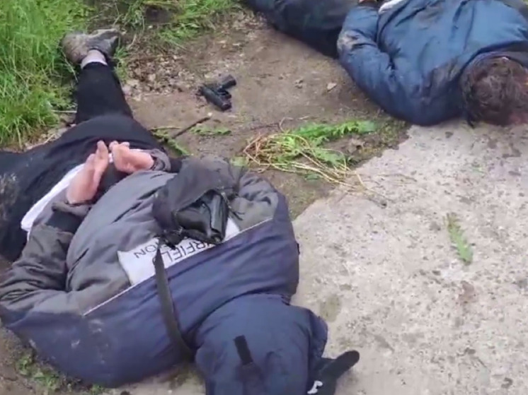 В Подмосковье задержали драгдилеров, ранивших в полицейского