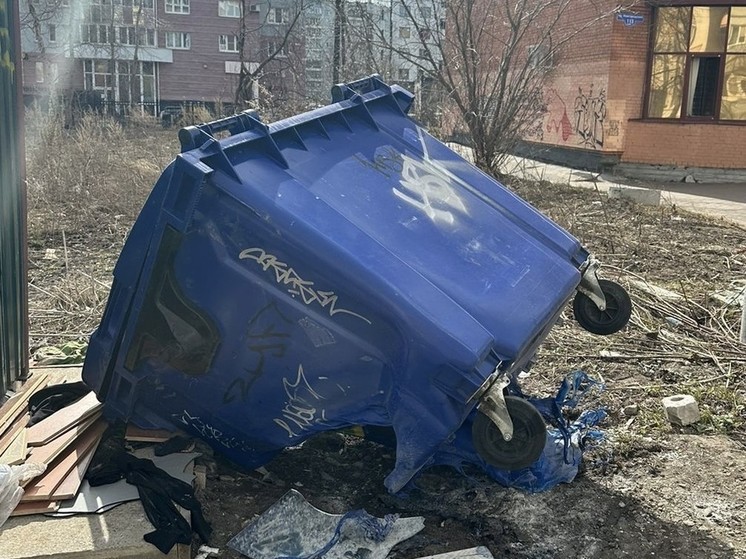 В Архангельской области участились случаи возгорания контейнеров