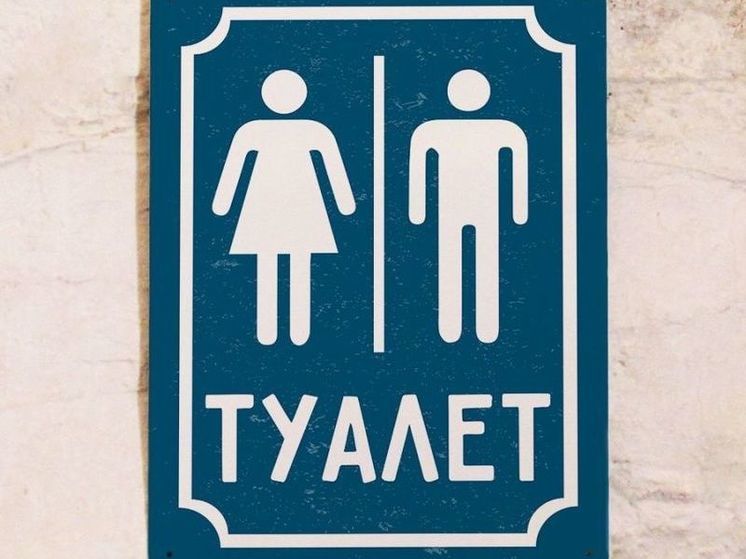 На Тверицком пляже в Ярославле все-таки поставили туалет