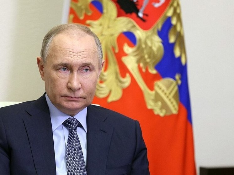 Путин: с начала года российские войска освободили 47 населенных пунктов