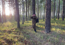 От заблудившихся в Свердловском лесу 10-летней Вики и 12-летнего Гриши нет вестей уже три дня